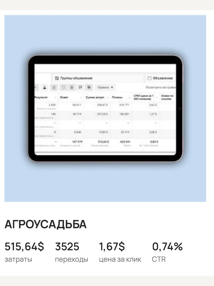 Фрагмент рекламного отчёта: Агроусадьба